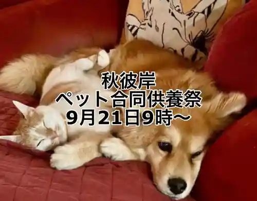 国上寺(新潟県)