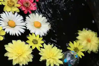 大鏑神社の手水舎