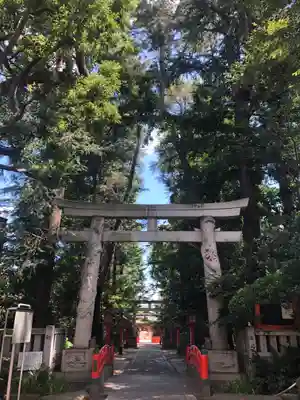 馬橋稲荷神社の鳥居