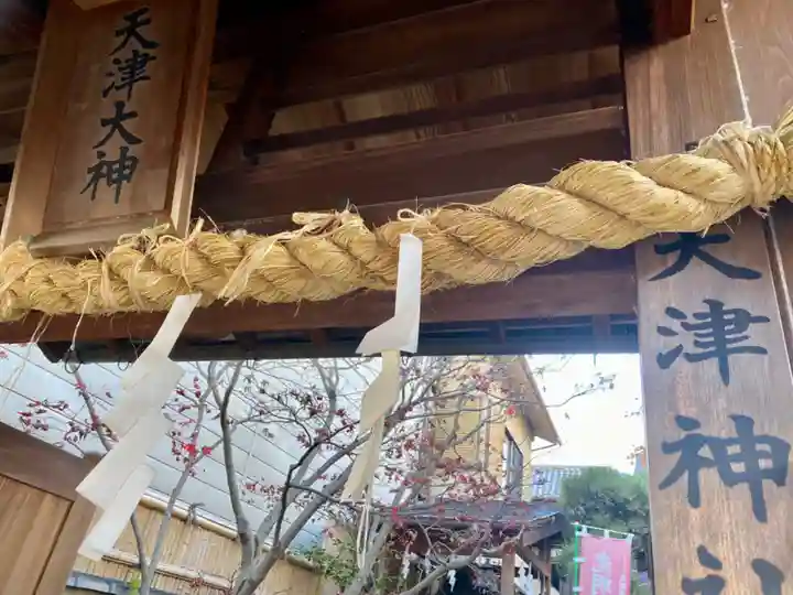 天津神社のその他建物