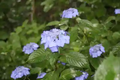 真正極楽寺（真如堂）(京都府)
