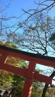 鶴岡八幡宮のその他建物