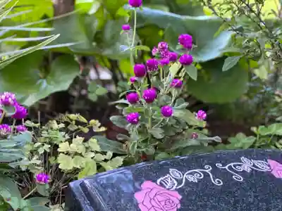 円通寺のその他建物