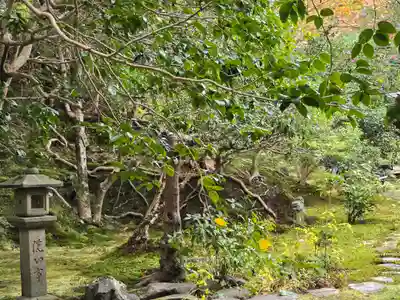 霊鑑寺門跡(京都府)