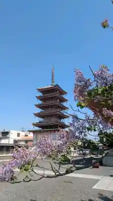 津観音の{uncategorized: "未分類", other: "その他", undefined: "問題あり", building: "その他建物", grave: "お墓", sacred_gate: "鳥居", guardian: "狛犬", statue: "像", buddha: "仏像", history: "歴史", nature: "自然", garden: "庭園", animal: "動物", pagoda: "塔", temizu: "手水舎", mountain_gate: "山門・神門", sanctuary: "本殿・本堂", subordinate: "末社・摂社", art: "芸術", scenery: "景色", jizo: "地蔵", ema: "絵馬", goshuin: "御朱印", omikuji: "おみくじ", items: "授与品その他", amulet: "お守り", goshuincho: "御朱印帳", eats: "食事", festival: "お祭り", votive_dance: "神楽", shichigosan: "七五三参", wedding: "結婚式", experience: "体験その他", initially: "初詣", around: "周辺", anti_infection: "感染症対策"}