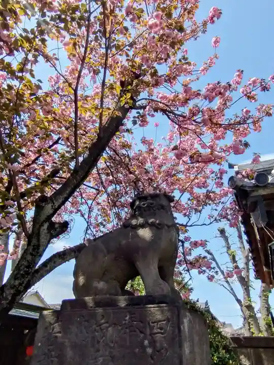 荘厳寺(東京都)
