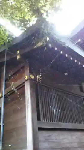 行田八幡神社の動物