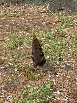 塩竈神社の自然