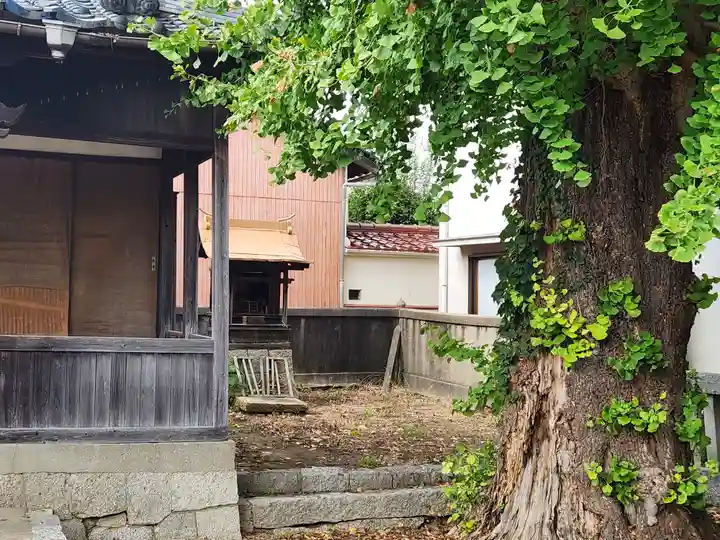 蛭子神社(兵庫県)