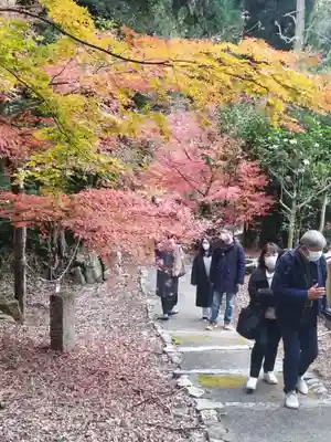 即宗院(京都府)