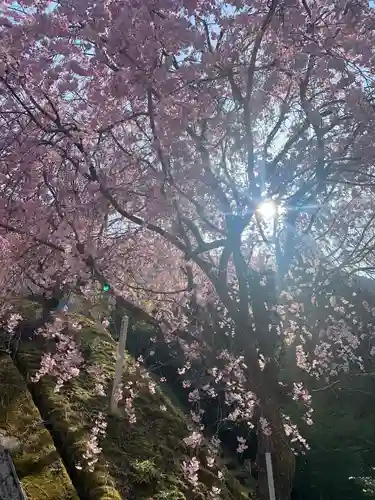 丹生川上神社（上社）の庭園