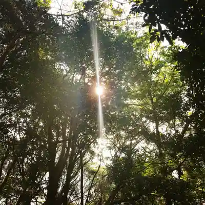 稲荷神社の自然