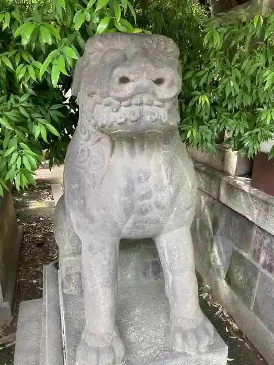 富岡八幡宮の狛犬