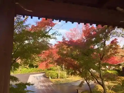 将軍塚青龍殿（青蓮院門跡）(京都府)