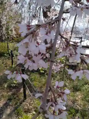 千手院(島根県)