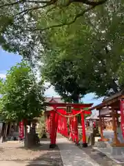 於菊稲荷神社(群馬県)