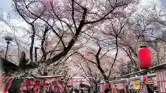 平野神社のお祭り