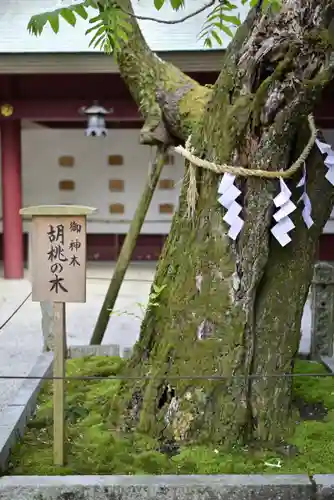 笠間稲荷神社の庭園