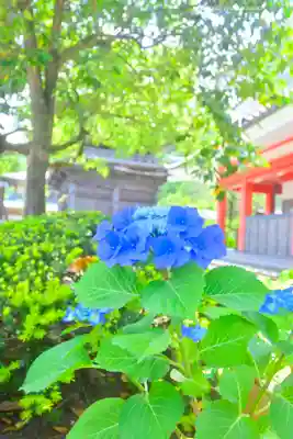 高幡不動尊　金剛寺(東京都)