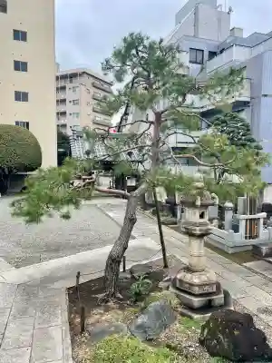 来迎寺(東京都)