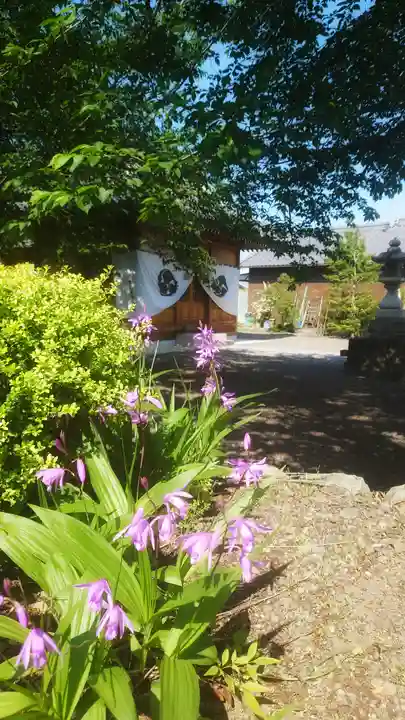 吉葛神社(南宮大社境外摂社)の自然