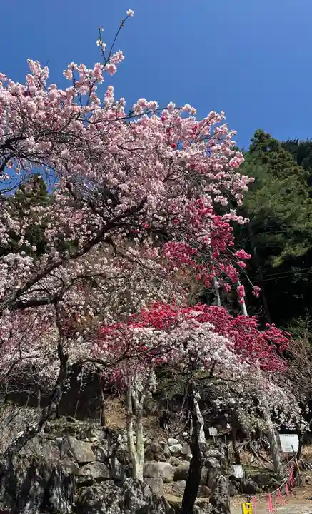 国福大神社(山梨県)
