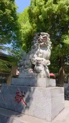 荻窪白山神社の狛犬