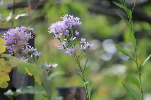 開成山大神宮の庭園