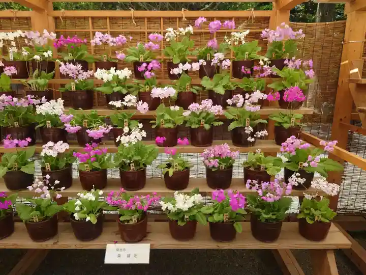 秩父神社(埼玉県)