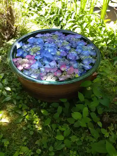 岩船寺(京都府)