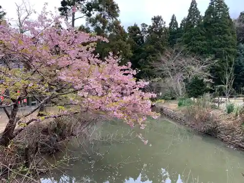 長安寺の庭園