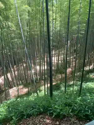 石清水八幡宮の周辺