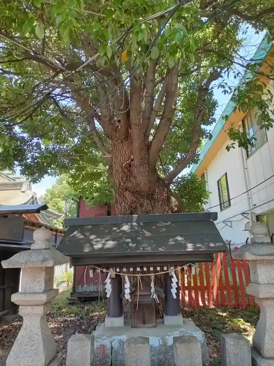阿部野神社(大阪府)