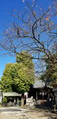 春日神社(千葉県)
