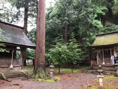 若狭姫神社（若狭彦神社下社）の末社・摂社