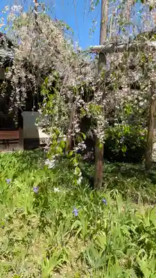 得浄明院(善光寺別院)(京都府)