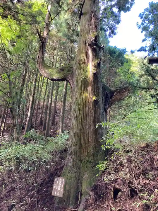 武蔵御嶽神社(東京都)