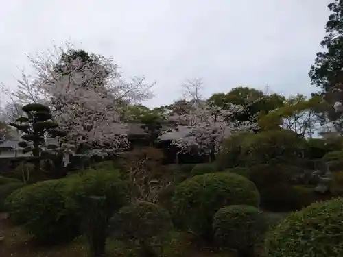 本妙寺(熊本県)