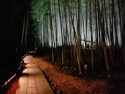 武雄神社の周辺