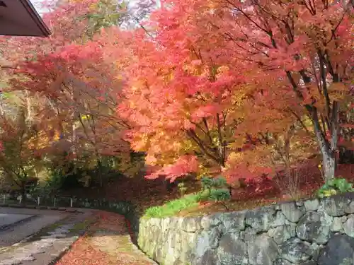 當麻寺の自然