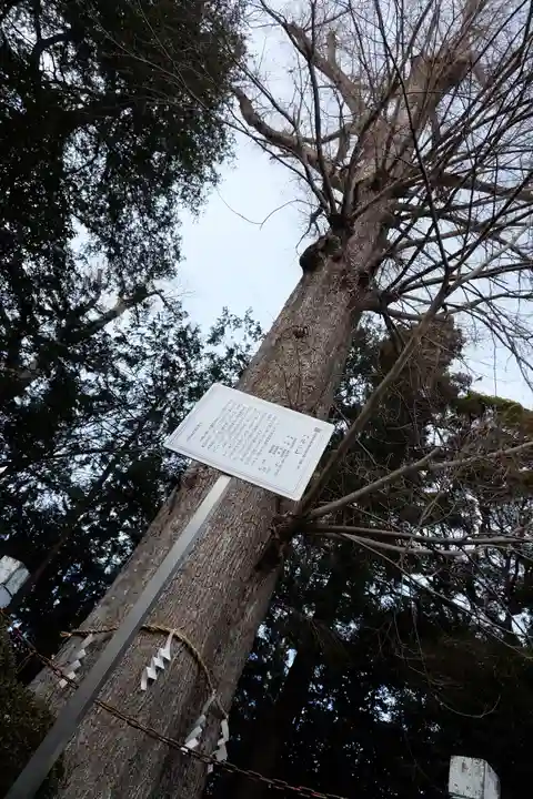 深見神社(神奈川県)