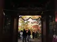 本土寺(千葉県)