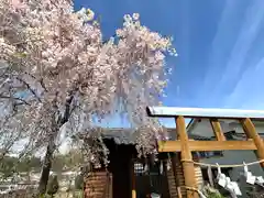 新海三社神社(長野県)