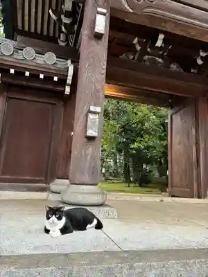 法明寺(東京都)