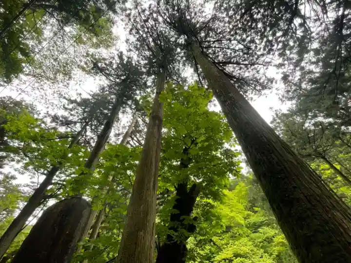 榛名神社の自然