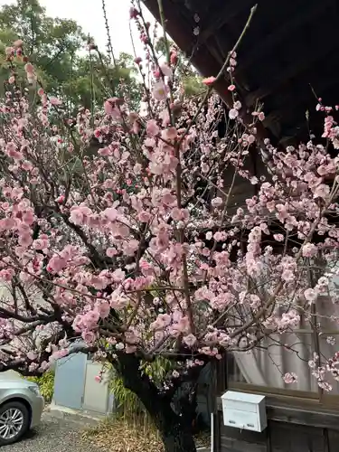 大御和神社(徳島県)