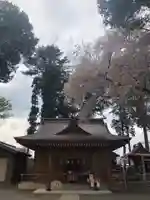 糀谷八幡宮の本殿・本堂