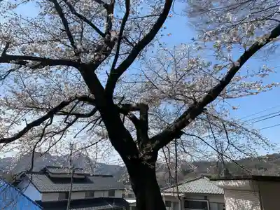 上洗馬神社の自然