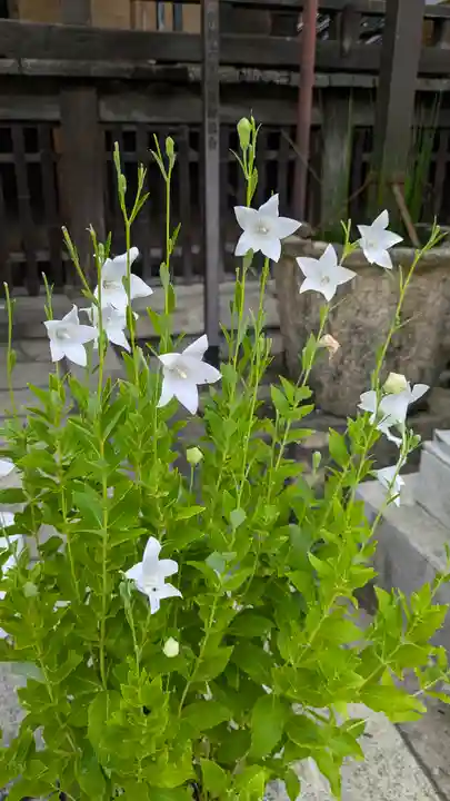 行願寺(革堂)(京都府)