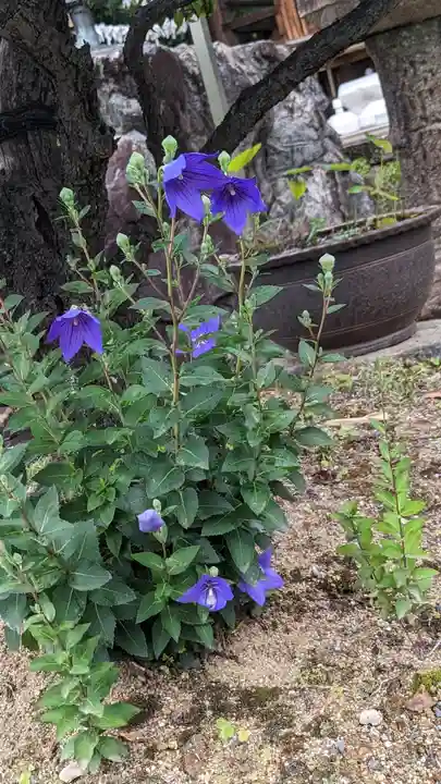 勝龍寺(京都府)
